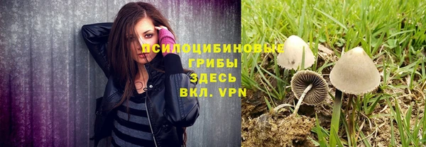 винт Баксан