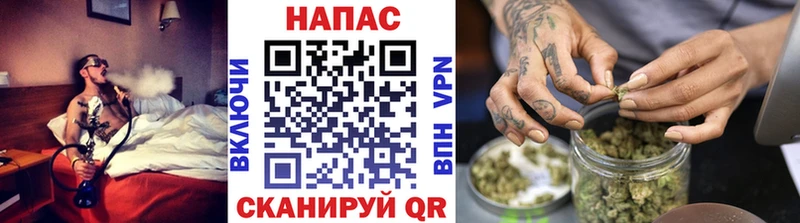 купить   Лаишево  Каннабис OG Kush 